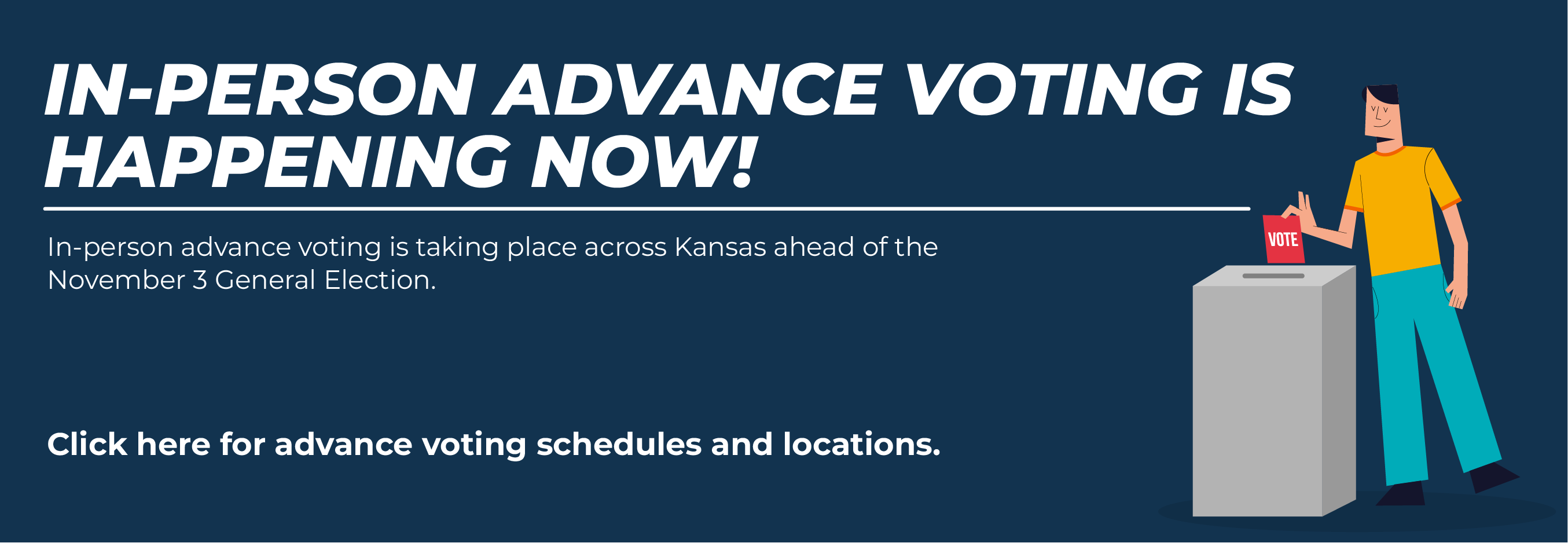 Advance Voting image